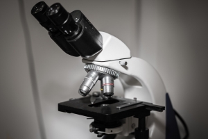 Gynäkologie am Andreasplatz - Praxis Dr. med. Nannette Hüfner