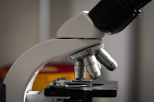 Gynäkologie am Andreasplatz - Praxis Dr. med. Nannette Hüfner