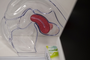 Gynäkologie am Andreasplatz - Praxis Dr. med. Nannette Hüfner